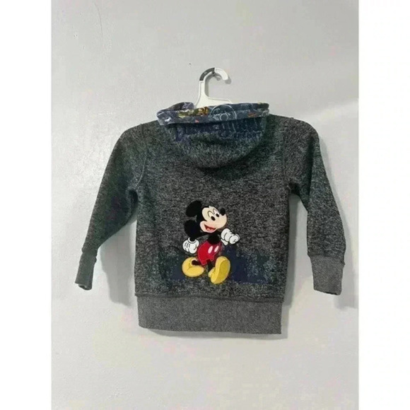 Walt Disney World Parks Youth Lg Hoodie Jacket Mickey Goofy All Embroidered 2019 - Picture 5 of 6